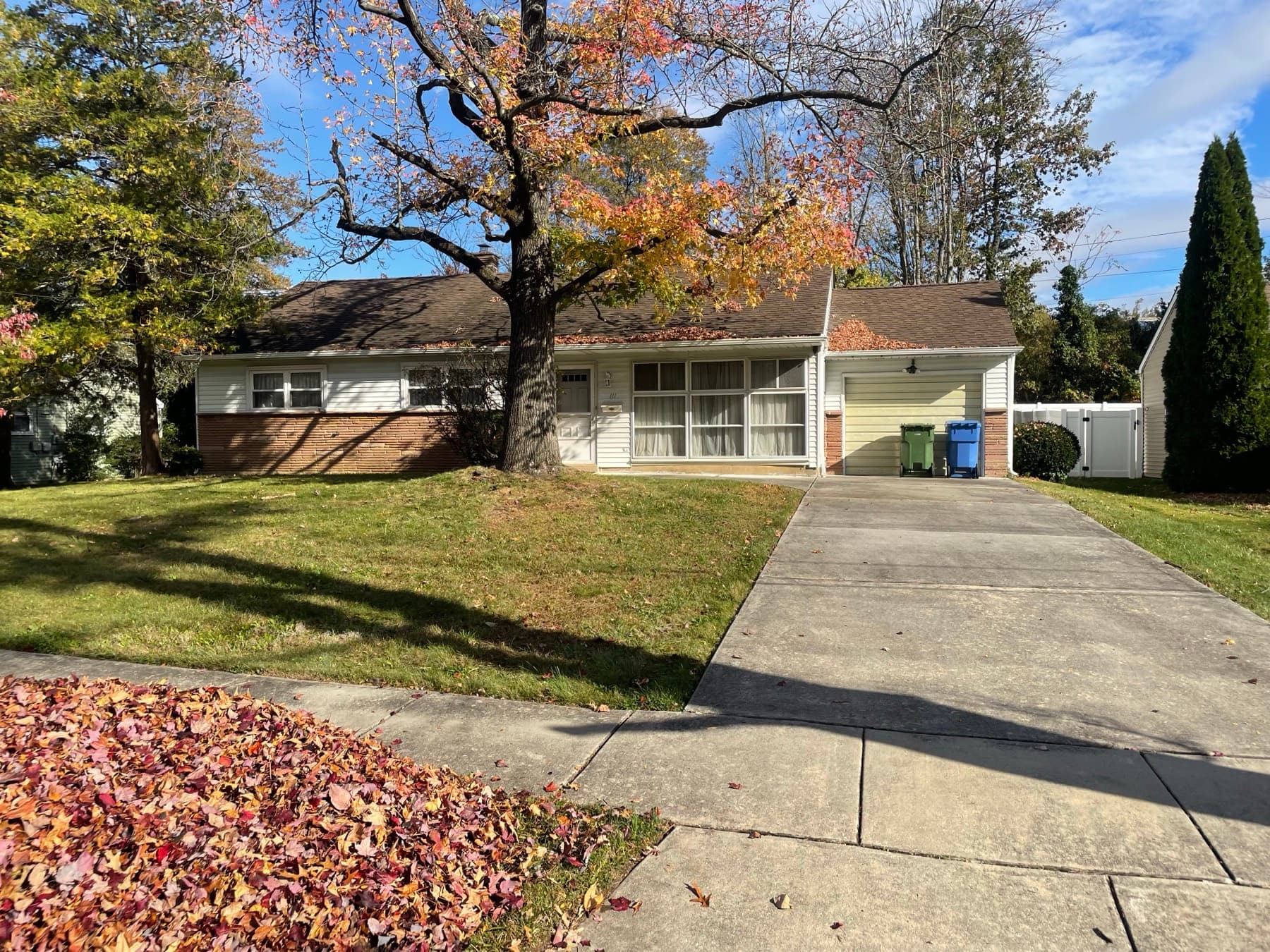 Fall cleanup