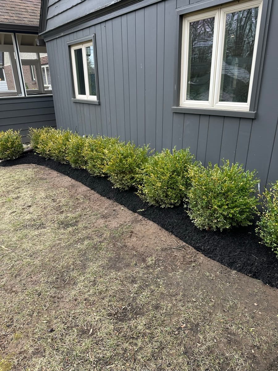 T&O Landscaping completed work