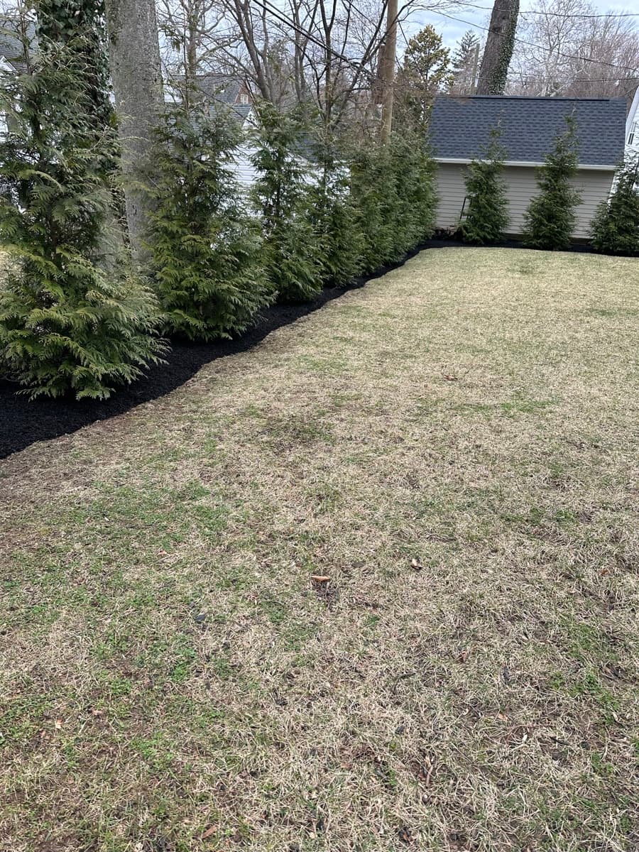 T&O Landscaping completed work