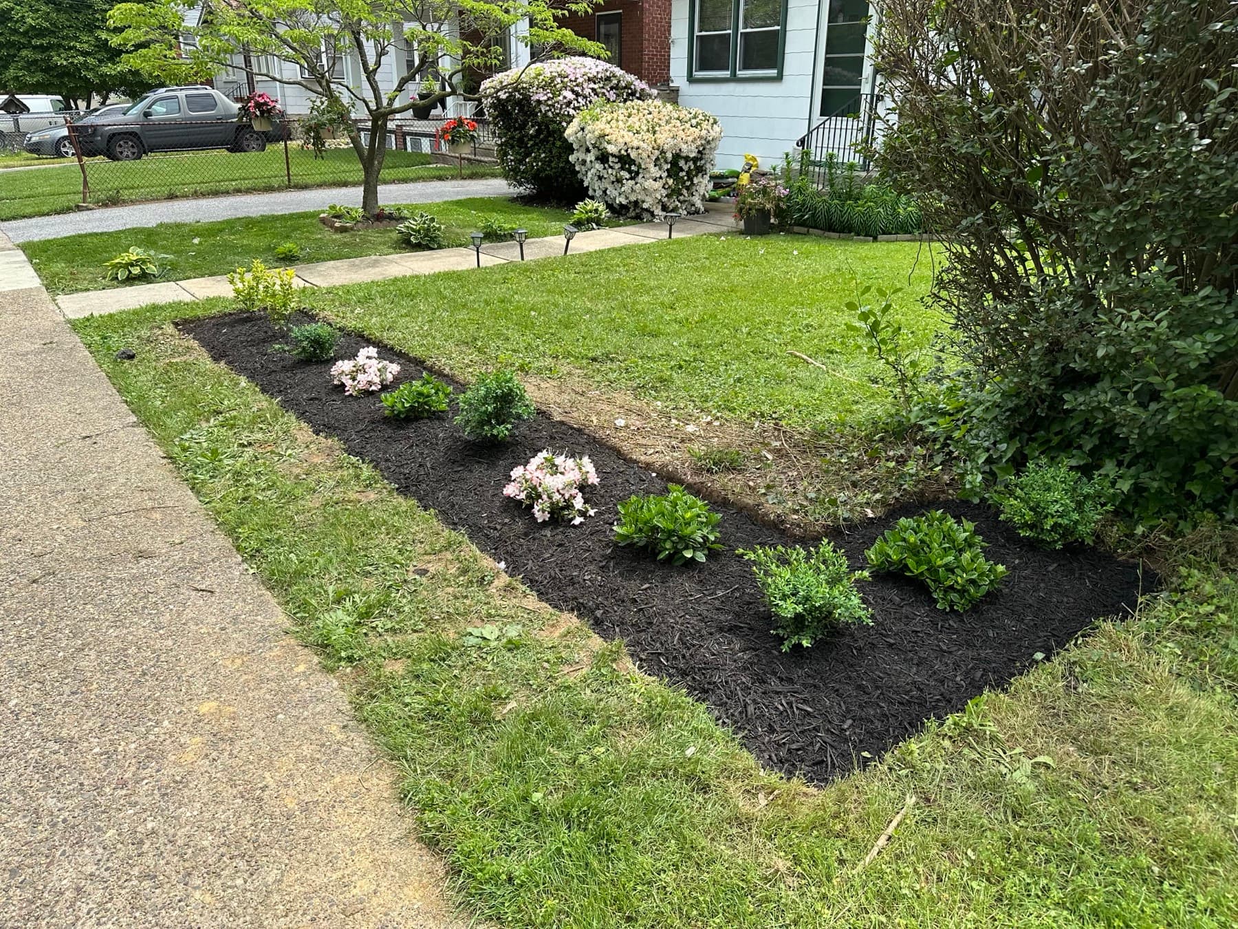 New planting